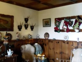 505479090_9761918830572598_855876045237216651_n_355587791205796