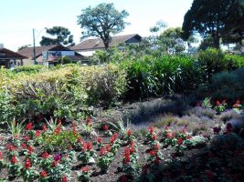 505583327_9761922450572236_3607231236763570859_n_355708157860426