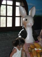 505588723_9761922340572247_8530000224073025613_n_355709331193642