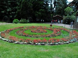 505730054_9761918920572589_6303451175247310293_n_355587574539151