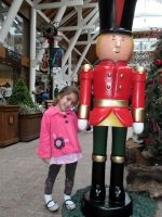 506025582_9761916860572795_793136980802761788_n_355556901208885